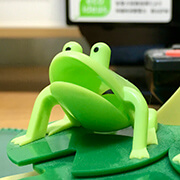 英単語しりとり Xから始まる単語は Xenophobia しかないのか 英単語project